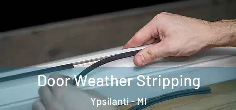 Door Weather Stripping Ypsilanti - MI