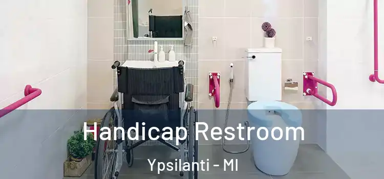 Handicap Restroom Ypsilanti - MI