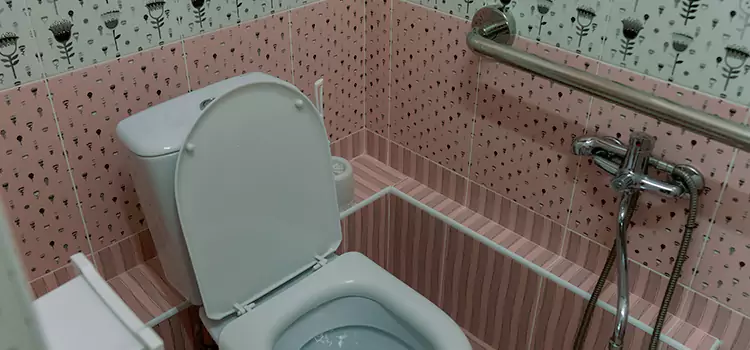 Meeting Diverse Needs With Accessible Restroom Solutions in Ypsilanti, MI