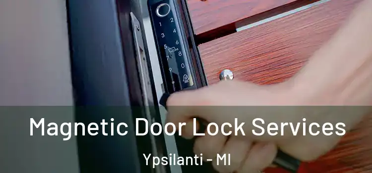 Magnetic Door Lock Services Ypsilanti - MI