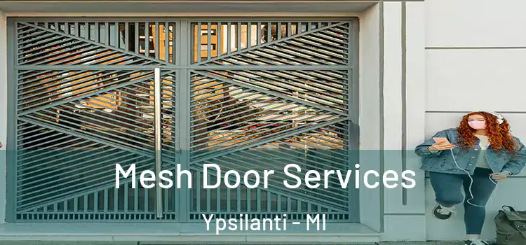 Mesh Door Services Ypsilanti - MI