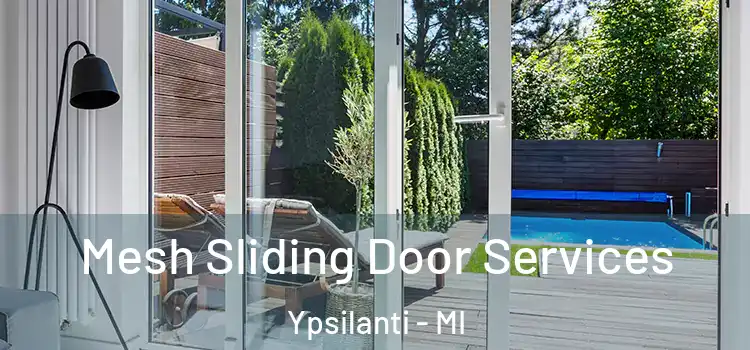 Mesh Sliding Door Services Ypsilanti - MI