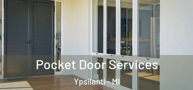 Pocket Door Services Ypsilanti - MI